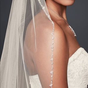 Davids bridal Veil